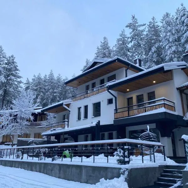Vila Aspen - Mountain View Apartments，位于Delčevo的酒店