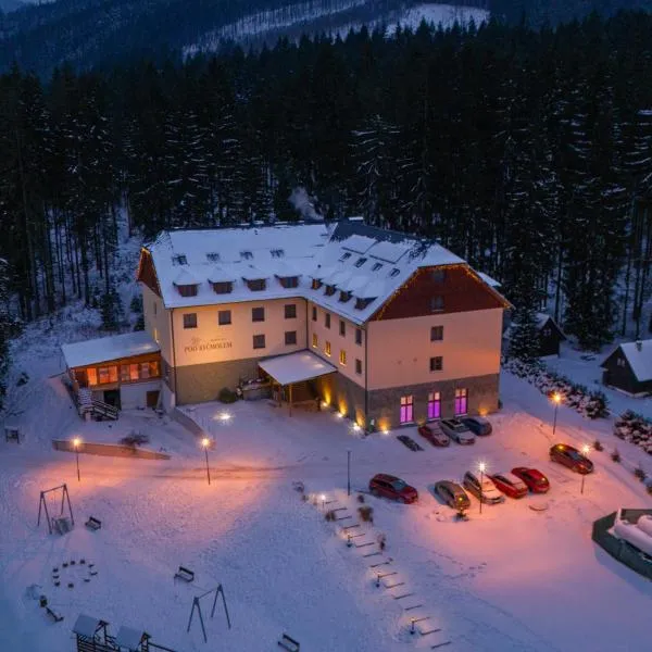 Wellness Hotel pod Kyčmolem，位于上洛姆纳的酒店