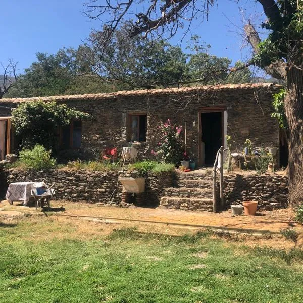 Los Albergues，位于皮特尔的酒店