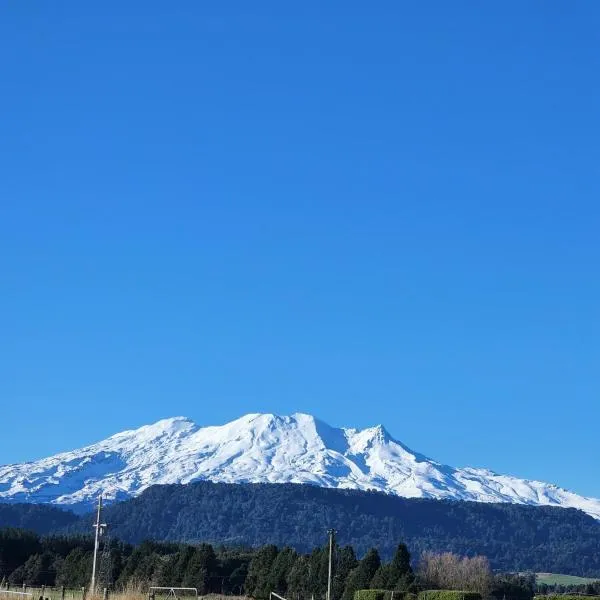 Ruapehu Farm Chalet，位于奥阿库尼的酒店