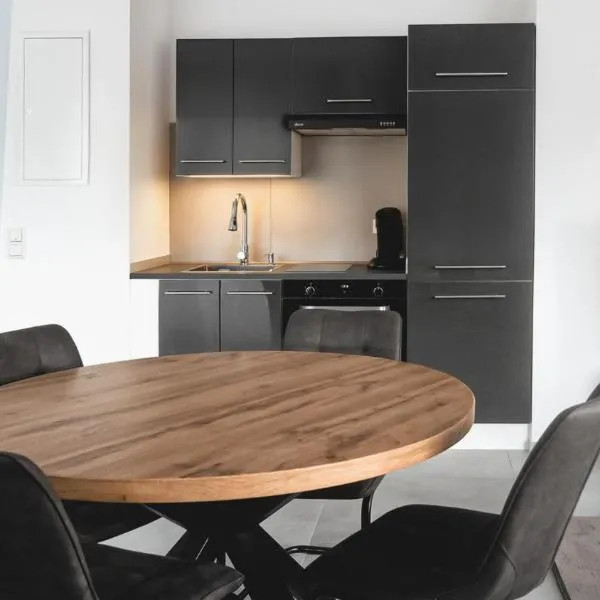 Moderne Apartments Saarbrücken mit Parkplatz，位于萨尔布吕肯的酒店