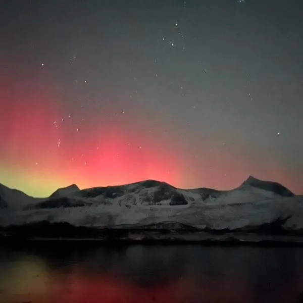 Efjord and Stetind Resort - Cabin Kobbernestinden，位于Ballangen的酒店