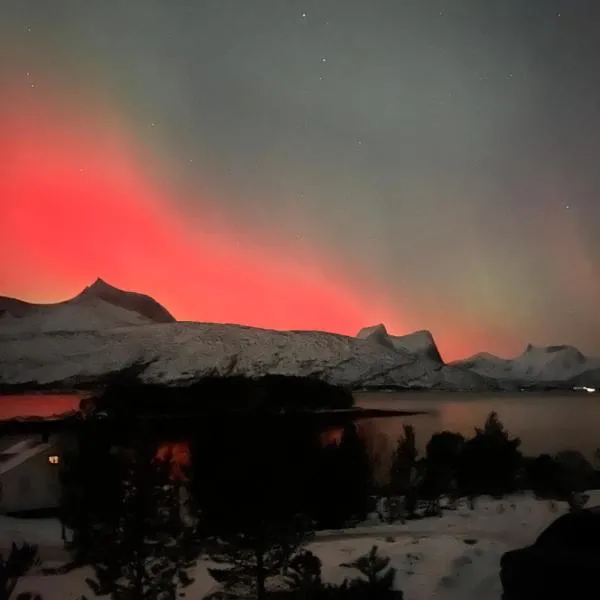 Efjord and Stetind Resort - Cabin Ocean，位于Ballangen的酒店