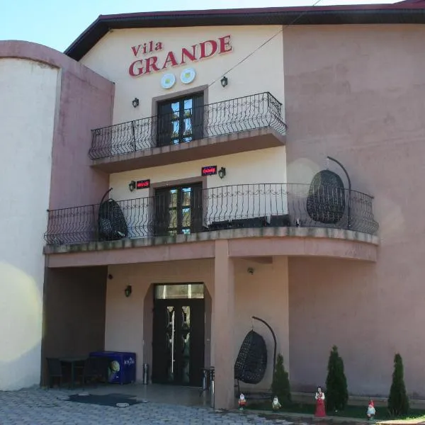 Pensiunea Grande Lepsa，位于Greşu的酒店