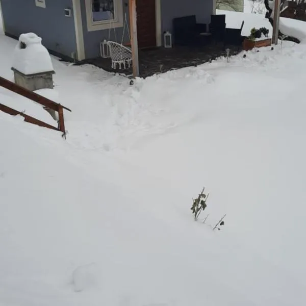 Domki letniskowe nad Jeziorem Solińskim Pasiekówka，位于扎沃兹的酒店