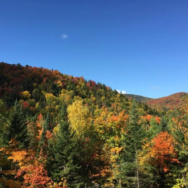 Loft Nature Laurentides，位于Val-des-Lacs的酒店