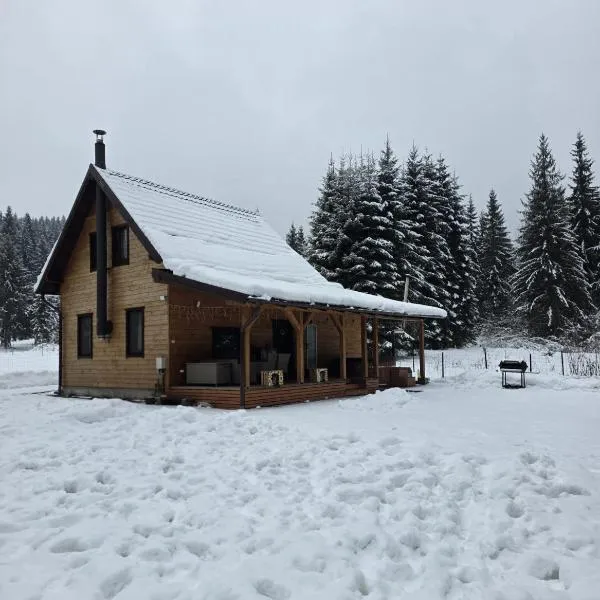 Czirják Kulcsosház，位于Bucin的酒店