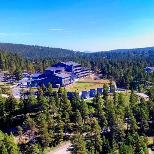 Savalen Fjellhotell & Spa，位于廷瑟的酒店