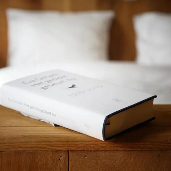 Poëziehotel Surplace - 15 min van Pairi Daiza & industriezone Ghislenghien，位于Bever的酒店