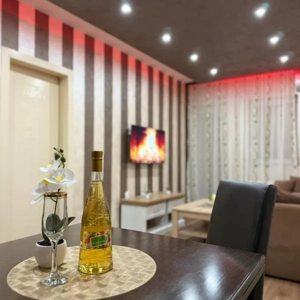 Perisic Apartman Obrenovac, sa parkingom，位于Obrenovac的酒店