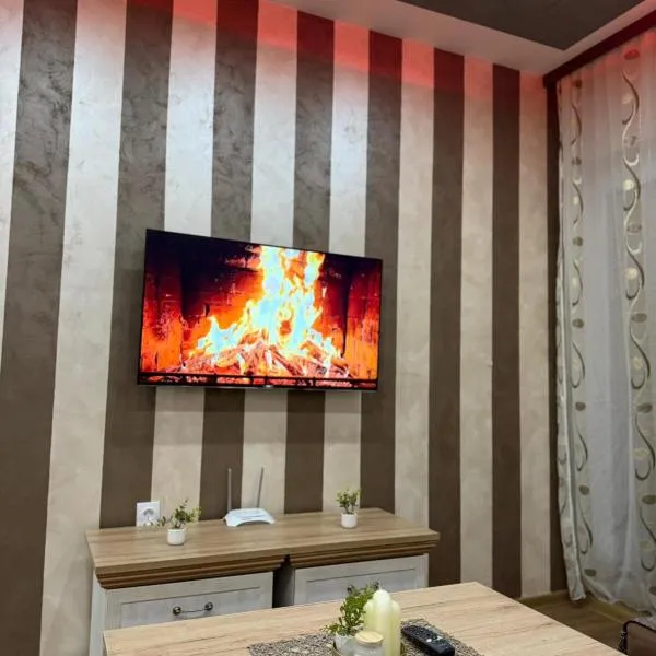 Perisic Apartman Obrenovac, sa parkingom，位于Obrenovac的酒店