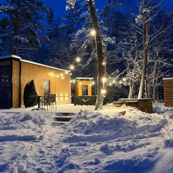 Telise TinyOne is a modern forest escape near the sea，位于Vööla的酒店