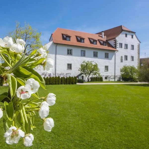 瓦瑟堡城堡酒​​店，位于Oberdorf的酒店