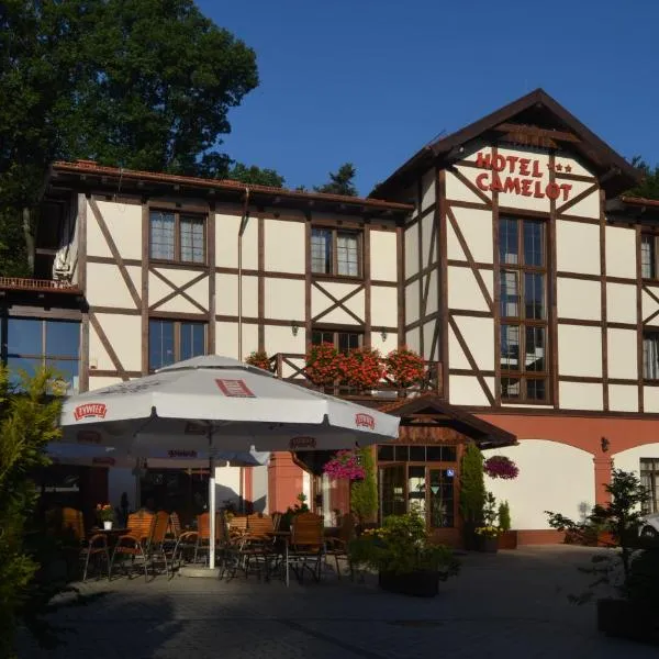 卡米洛特酒店，位于Stare Bogaczowice的酒店