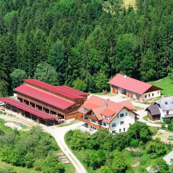 Ferienwohnungen Bauernhof Schilcher，位于Sankt Margarethen im Lavanttal的酒店