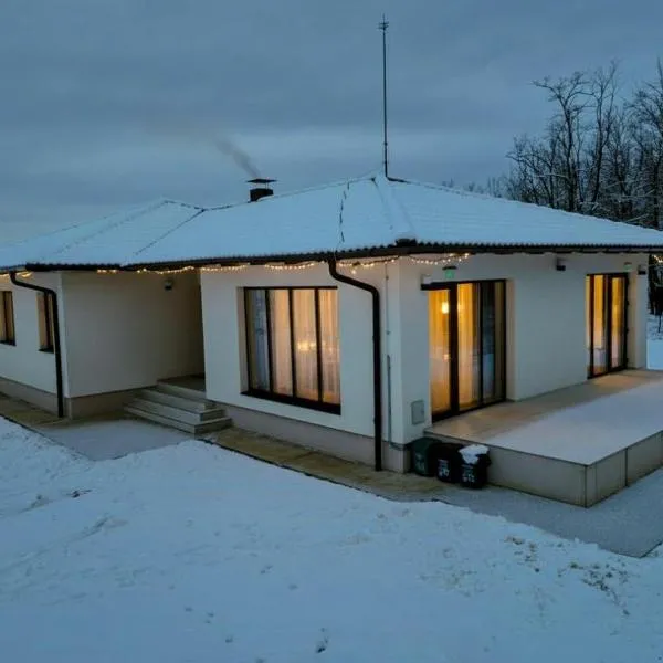 The Field House, Bihor Romania，位于Borod的酒店