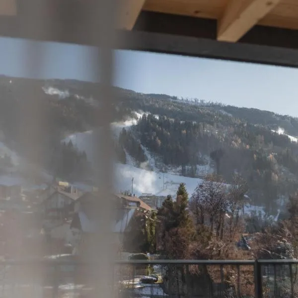 Haus Zirngast，位于斯拉德明的酒店