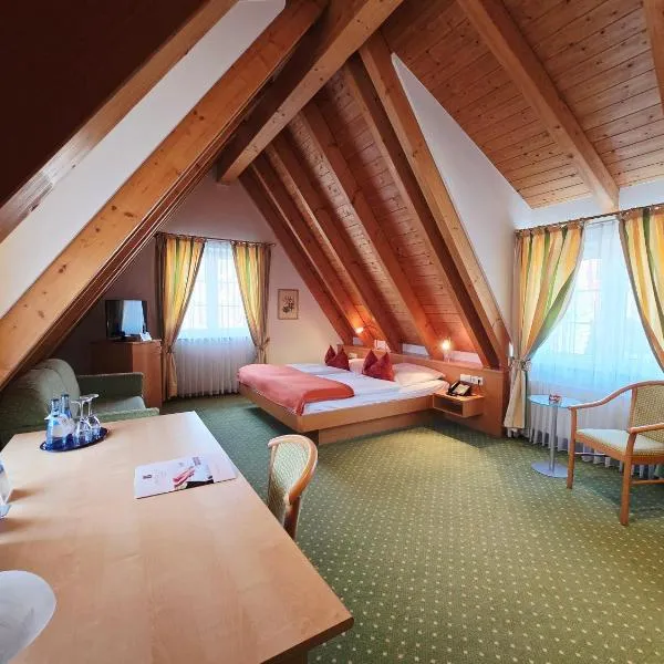 波斯德林根酒店，位于Jungingen的酒店