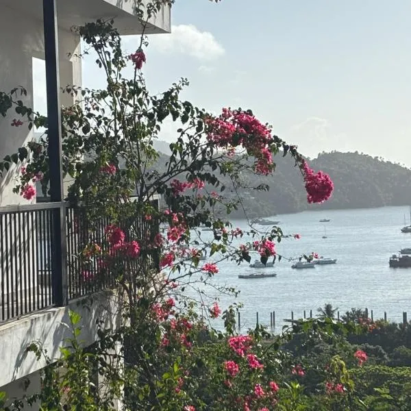 Villa Aurora Samaná，位于圣塔芭芭拉-山美纳的酒店