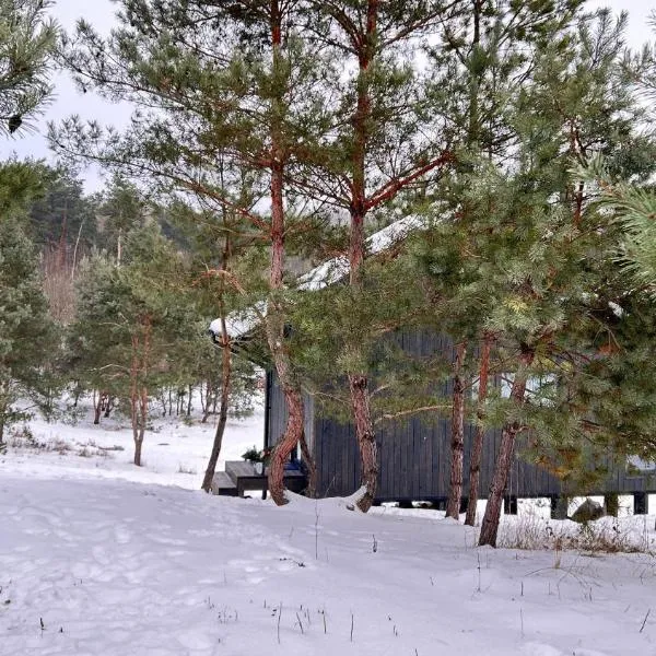 Будиночки для відпочинку ТРОХИ ДАЛІ，位于Dmitrenki的酒店