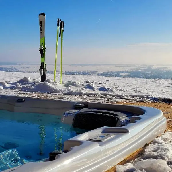 Villa Revere - luksus w sercu Podhala，位于新塔尔格的酒店