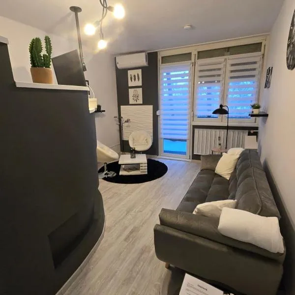 Ákos Apartman，位于塞克希费黑瓦尔的酒店