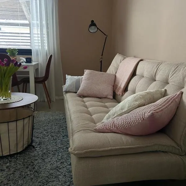 Apartment Kuusitie in the center of Ranua，位于拉努阿的酒店