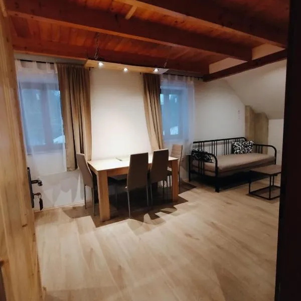 Apartmány v Bývalém mlýně，位于洛克尼册弗奥里克奥拉赫的酒店