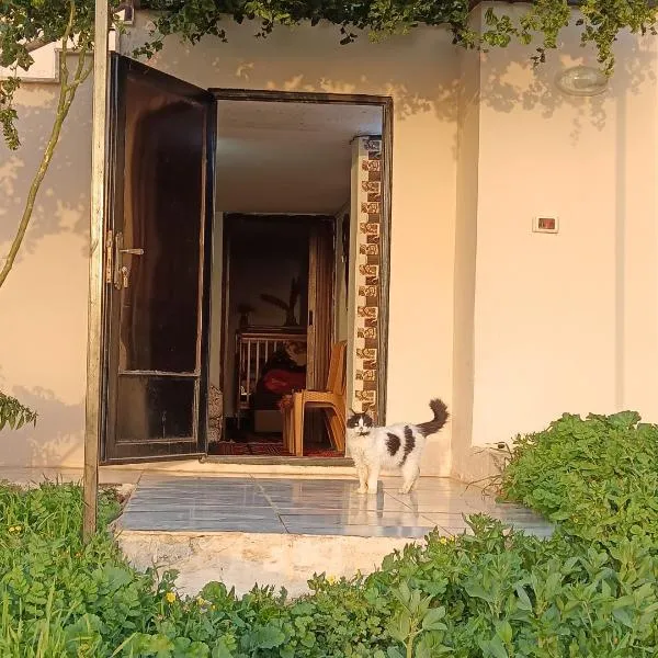 Rousan House，位于乌姆盖斯的酒店