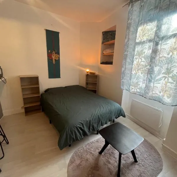 Studio meublé centre-ville Saint Junien，位于圣瑞尼安的酒店