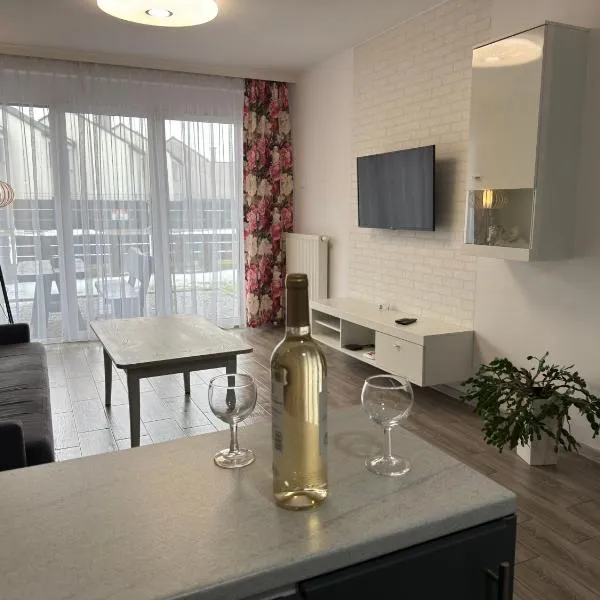 1 Tyskie Apartamenty z ogródkiem，位于蒂黑的酒店