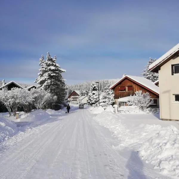 Le Chalet des Pas Sages，位于Longevilles-Mont-dʼOr的酒店