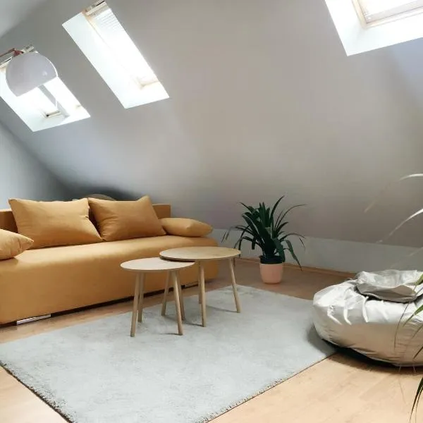 Altavista mountain apartment，位于萨莫科夫的酒店