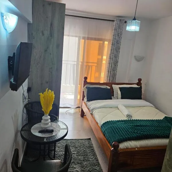 Affordable Studio in Syokimau Near JKIA & SGR，位于内罗毕的酒店