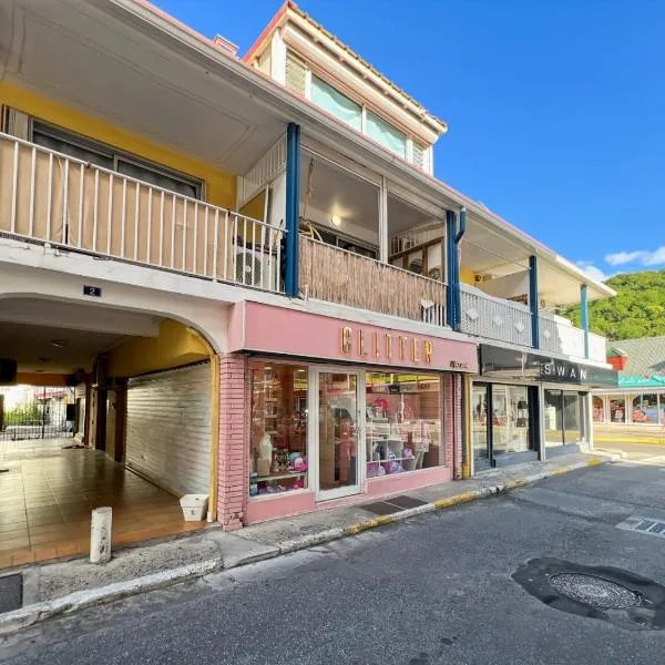 Studio cosy hypercentre Saint-Martin，位于Marigot的酒店