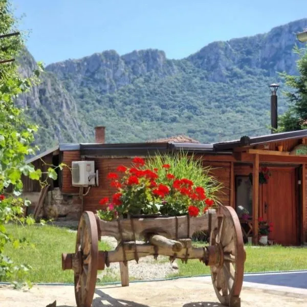 Ramonda Serbica - Gorge View & Peacful Nature Retreat,位于尼什的酒店