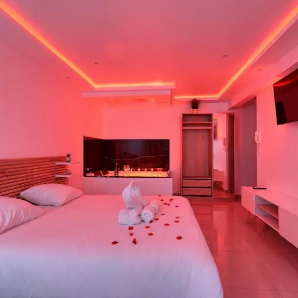 Suite with Jacuzzi & Parking Near CDG Airport,位于勒布朗-梅尼尔的酒店