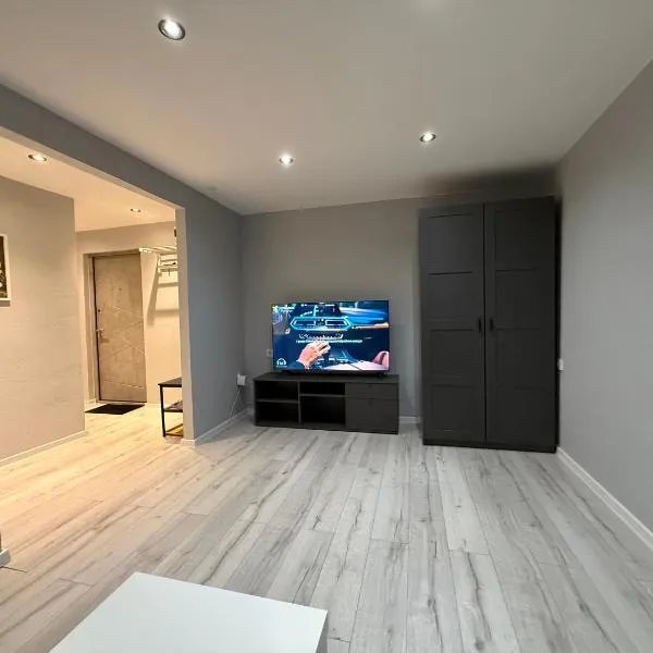 Riverview Apartment next to Jelgava Palace - 2min to Bridge，位于叶尔加瓦的酒店