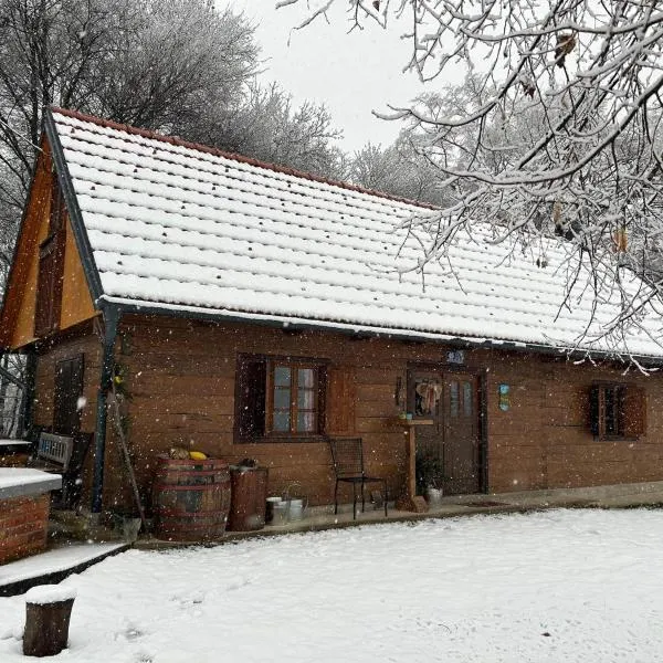 Kuća za odmor Josipa，位于Klanjec的酒店