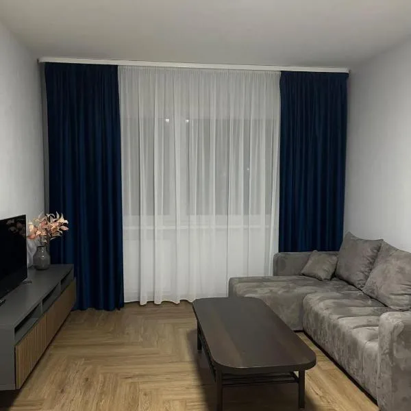 Kerulis Apartments，位于维尔纽斯的酒店