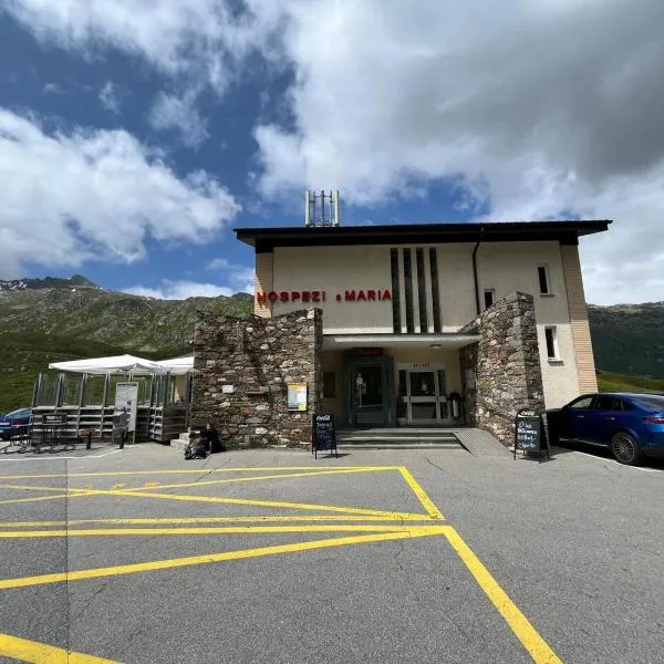 Hospezi Santa Maria，位于Platta的酒店