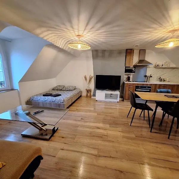 Faubourg des voyageurs 7 - T2 climatisé 4 personnes - proche axe autoroute et gare，位于萨兰的酒店