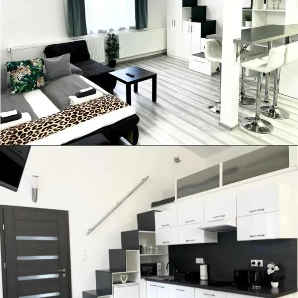 Belvárosi Apartman，位于米什科尔茨的酒店