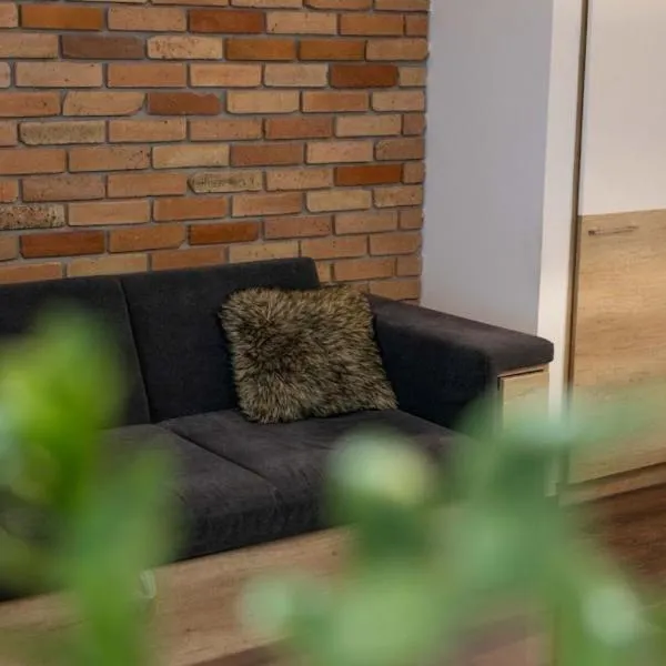 City Royal Studio，位于塞克希费黑瓦尔的酒店