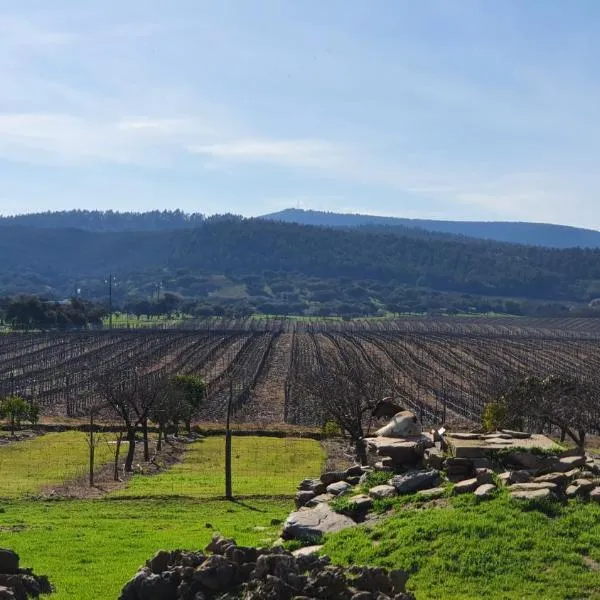 Herdade do Burrazeiro Turismo Rural no Alentejo，位于博尔巴的酒店