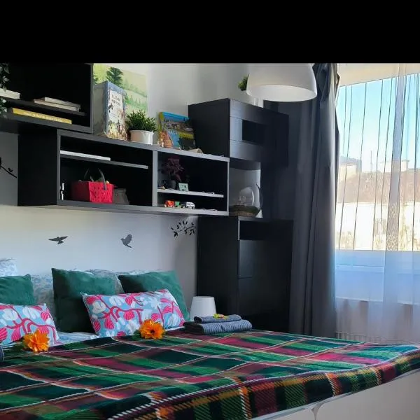 Studio Viva - Cosy Flat in Budapest - Free Parking,位于布达佩斯的酒店