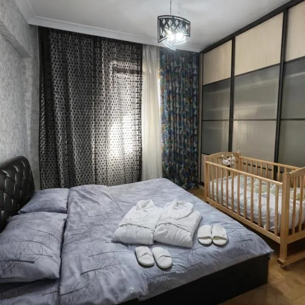 Cozy Airport Haven Late Check-in Ideal for Transit Guests Pick up service 5 USD，位于巴库的酒店