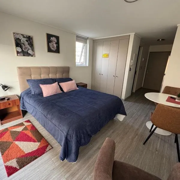 Departamento studio.，位于特木科的酒店