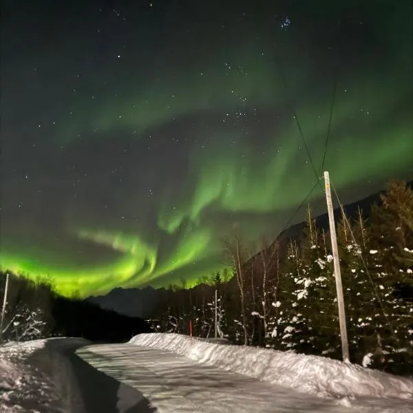 Apartment for 4 in Nature with Mountain View, 3 km from Beach，位于Oldervik的酒店