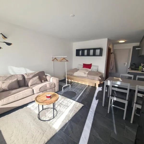 Studio rénové Ovronnaz chalet Orion，位于奥瓦伦纳茨的酒店